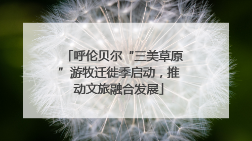 呼伦贝尔“三美草原”游牧迁徙季启动，推动文旅融合发展